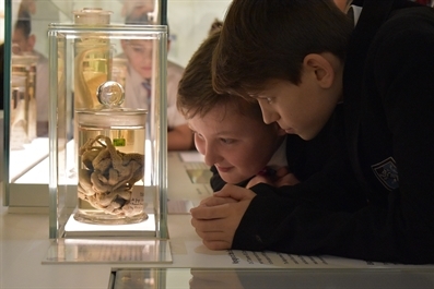 Schools Sessions at the University of Cambridge Museums
