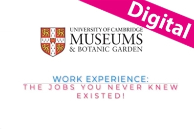 University of Cambridge Museums: virtual work experience