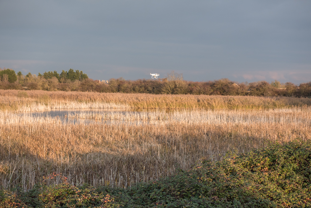 Origins Fenland Landscape