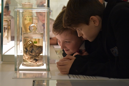 Schools Sessions at the University of Cambridge Museums