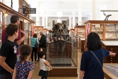 Sedgwick Museum Learning Programme