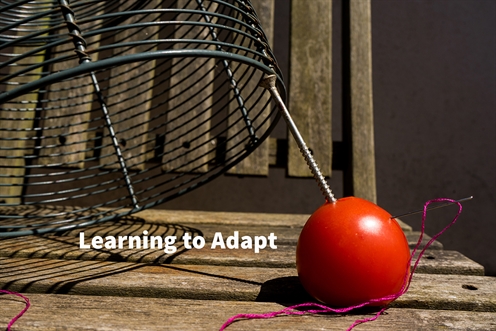 Learning to adapt - an Interactive Workshop on documenting your life
