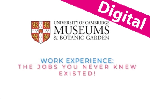 University of Cambridge Museums: virtual work experience